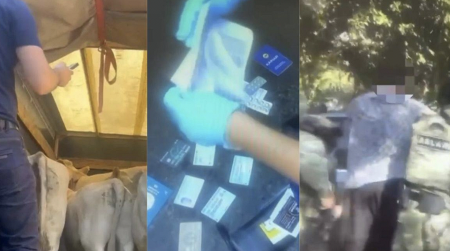 Жетісуда 9 млн теңгеге мал ұрлағандар ұсталды