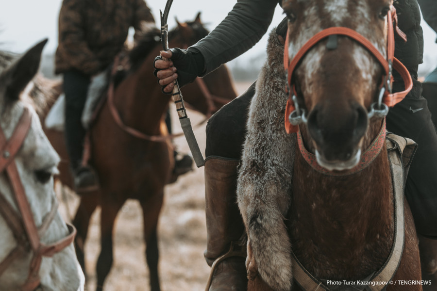 Қазақстанда жаңа мейрам пайда болуы мүмкін