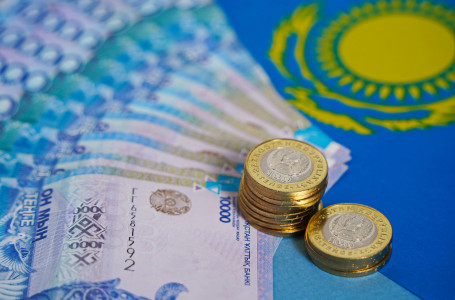 Үкімет 2,8 млрд теңгеден аса қаржы бөлді: бұл қайда жұмсалады?