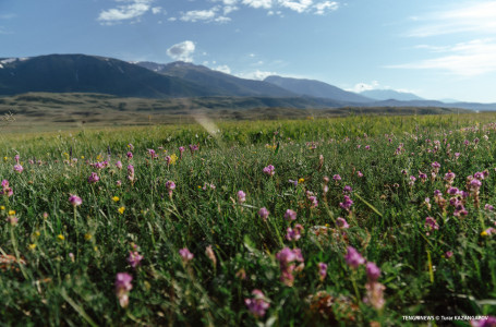 Шілдеден бастап Қазақстанда не өзгереді? 