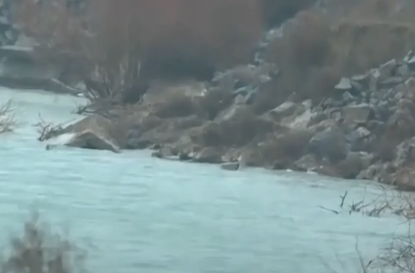 Сайрамсу өзенінен 27 жастағы әйел өлі табылды 