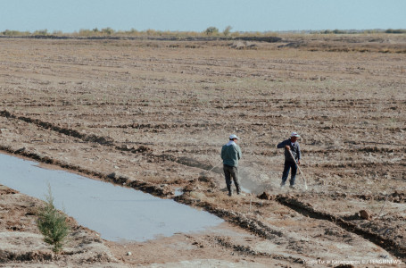 Синоптиктер қай өңірлерге құрғақшылық төніп тұрғанын айтты