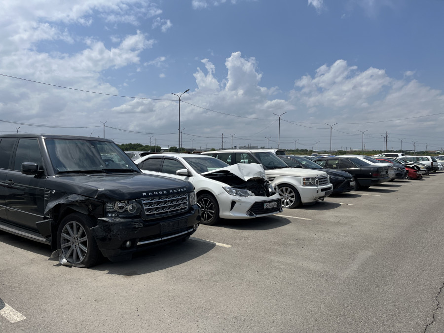 Айыптұрақтар ақылы болмақ: заңгер пікір білдірді