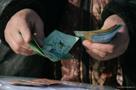 Мал бағатындарға қатысты: Қазақстанда айыппұлдардың бірі екі есе артуы мүмкін