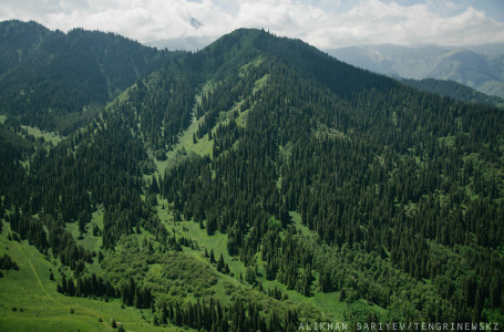 Алматыда жасөспірім 2 шілдеде тауға кетіп, содан бері оралмаған