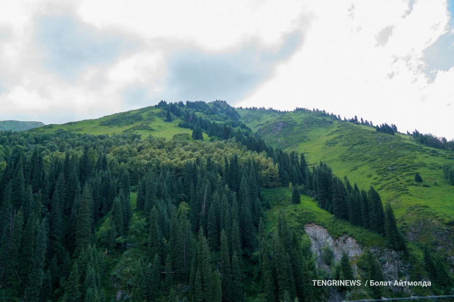 Алматы тауларында студент өлі табылды: марқұмның денесі дрон арқылы табылған