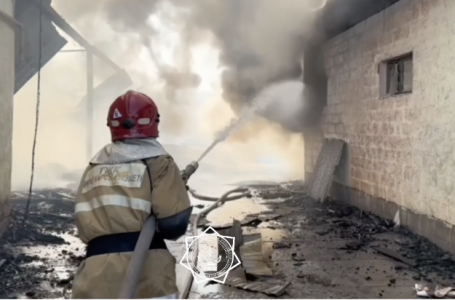 Қызылордада ағаш өңдеу цехында өрт шықты