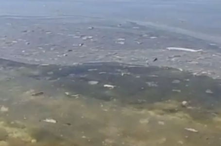 Ақтау тұрғындары теңіз бетінде май дақтары мен қоқысты байқады