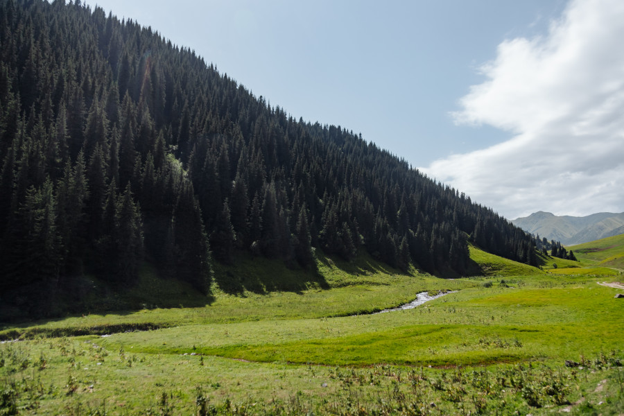 Қазақстанның солтүстігіндегі құны 30 миллиард теңгеге жуық жерлер қайтарылды