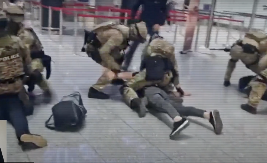 Есірткі айналымына қатысы бар екі трансұлттық топ жойылды - ІІМ