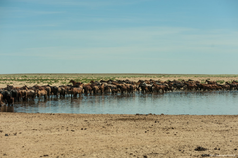 Аптап, жаңбыр және жел: Қазақстанда алдағы күндері ауа райы қандай болады?