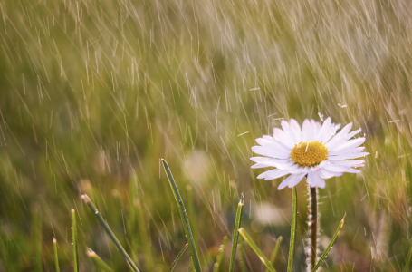 Аптап ыстық пен дауыл: бүгін ауа райы қандай болады?