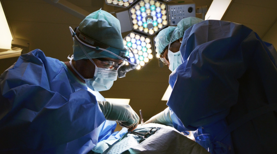 Жыл басынан бері 141 ағза трансплантацияланған