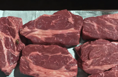 Ақбөкен етінен ауру жұқтыру мүмкін бе? Министрлік жауабы