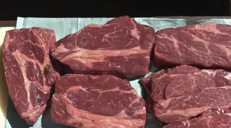 Ақбөкен етінен ауру жұқтыру мүмкін бе? Министрлік жауабы