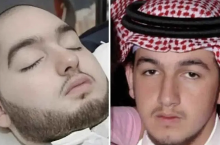 Сэр Дэвид порно театры