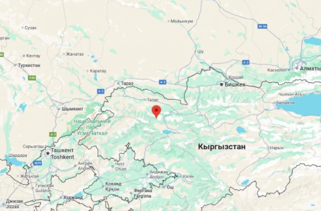 Қырғызстанда Қазақстанмен шекара маңында жер сілкінісі болды