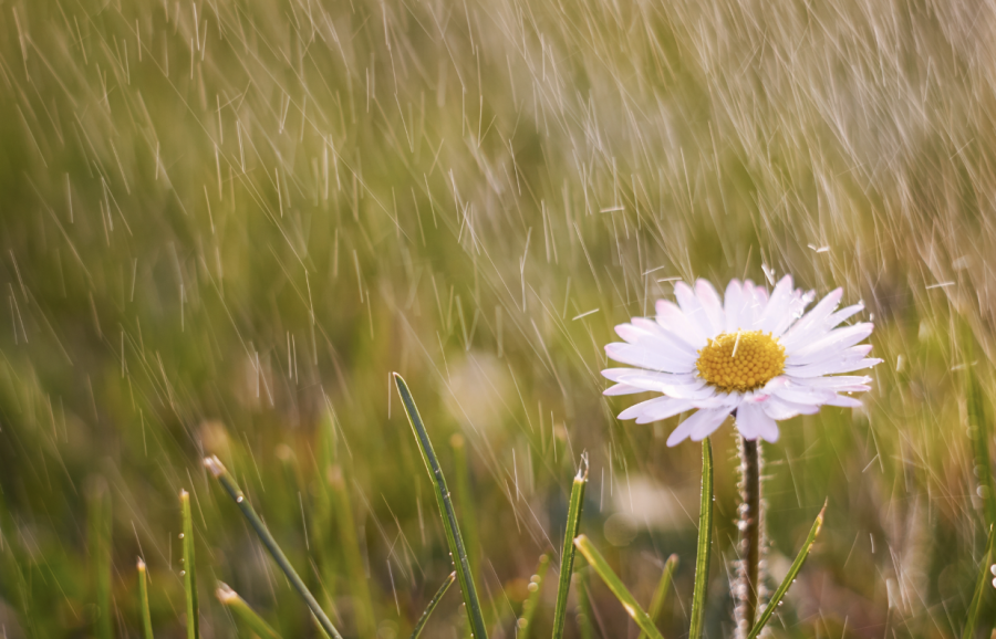 Аптап, дауыл мен нөсер: бүгін ауа райы қандай болады?