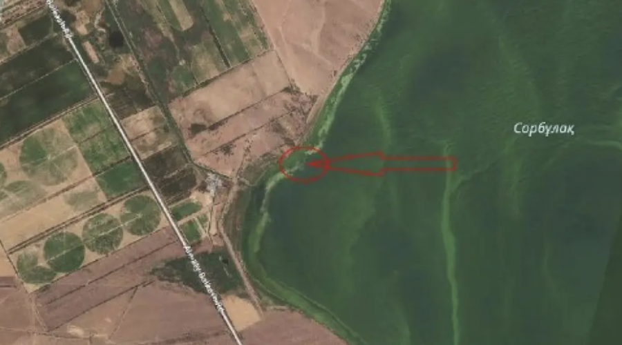 Жоғалған әскери тікұшақтың бөлшектері табылды