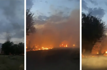 Алматы облысында жол бойындағы құрғақ шөп өртенді