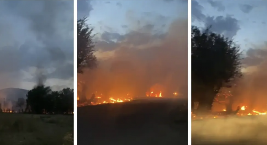 Алматы облысында жол бойындағы құрғақ шөп өртенді