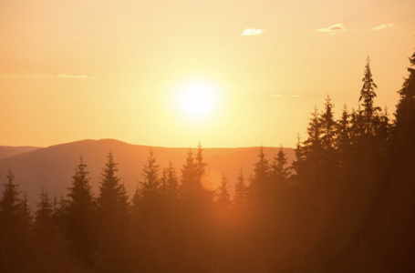 Оңтүстікте аптап, солтүстікте нөсер: бүгін ауа райы қандай болады?