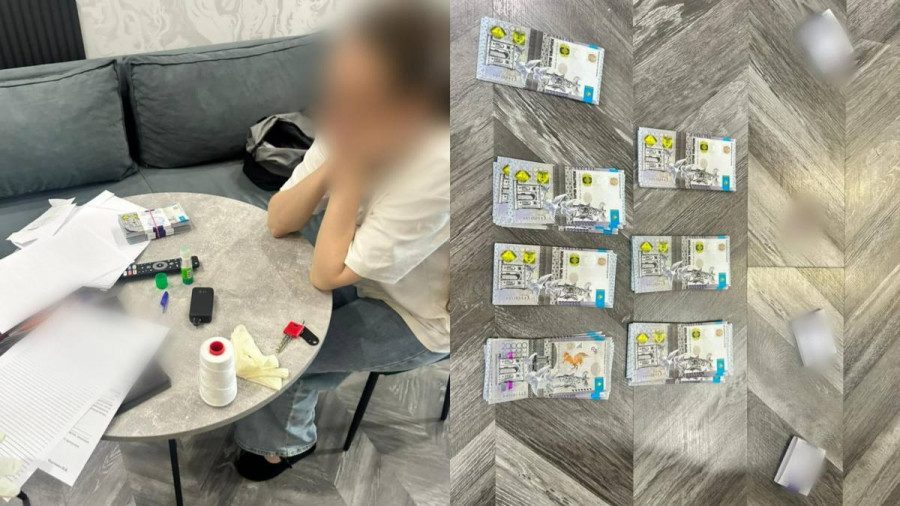 Павлодарға келіп бүйрегін сатпақ болған шетелдік әйел ұсталды