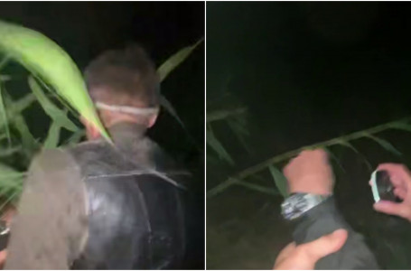 Демалыс базасында демалып жүрген ер адам қамыс арасында адасып қалған