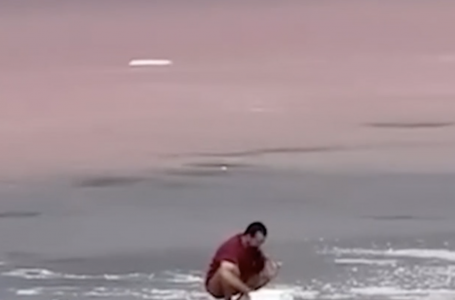 Туристер Көбейтұздан қызғылт тұзды жаппай қазып әкетіп жатыр