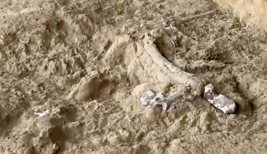 Грузияда ежелгі адамның сүйегі табылды