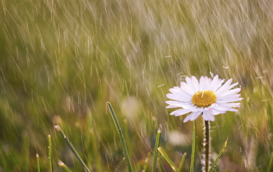 Аптап, өрт қаупі, дауыл: 3 шілдеде ауа райы қандай болады?