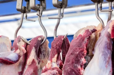 Неге елде ет қымбат? Министр жағдайды түсіндірді