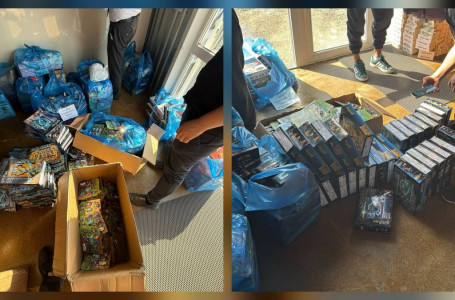 LEGO жалған конструкторлар пайда болғанына шағымданған: рейд жүргізілді