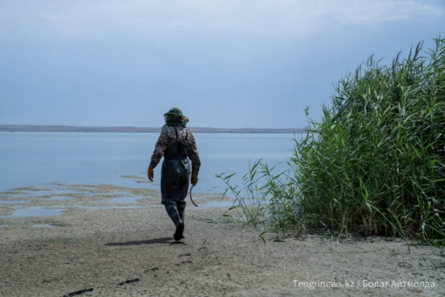 “Сорбұлақтың жартысын тексердік“ - ТЖМ өкілі жоғалған тікұшақ туралы