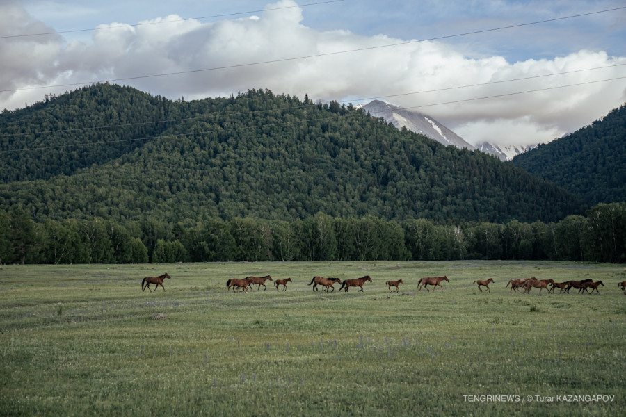 41 градусқа дейін аптап ыстық: демалыста ауа райы қандай болады?