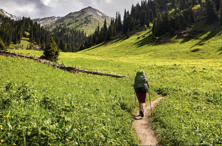 Қазақстанда туристерге арналған қанша визит-орталық бар?