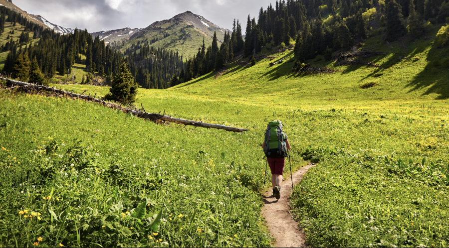 Қазақстанда туристерге арналған қанша визит-орталық бар?