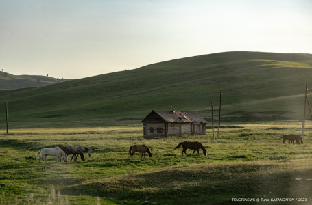 Алматы тұрғындарына ауа райына байланысты ескерту жасалды 