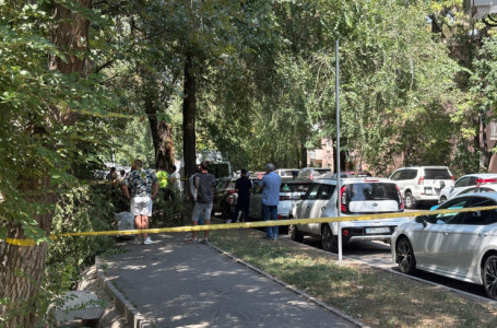 Алматыда ағаш бұтағы құлап, салдарынан бір адам қаза тапты