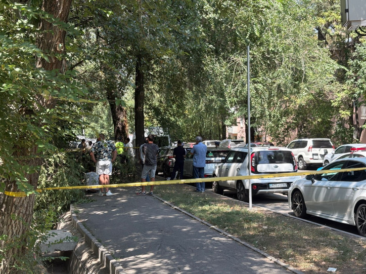 Алматыда ағаш бұтағы құлап, салдарынан бір адам қаза тапты