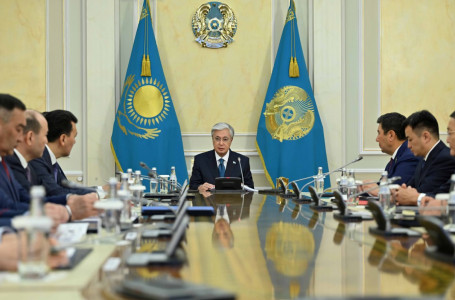 Тоқаев нашақорлыққа қарсы штабты Үкімет деңгейіне көтеруді тапсырды