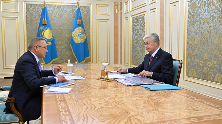 Алакөлге қатысты сын: Жетісу облысының әкімі Тоқаевқа есеп берді