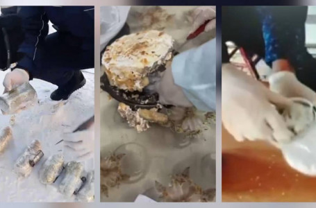 Торттың ішіне тыйым салынған зат жасырған: бірнеше адвокат лицензиясынан айырылуы мүмкін