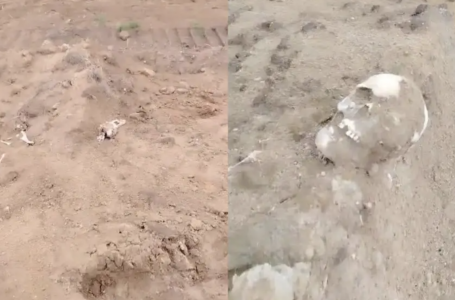 Павлодар облысында жол жөндеушілер адам сүйектерін тапқан