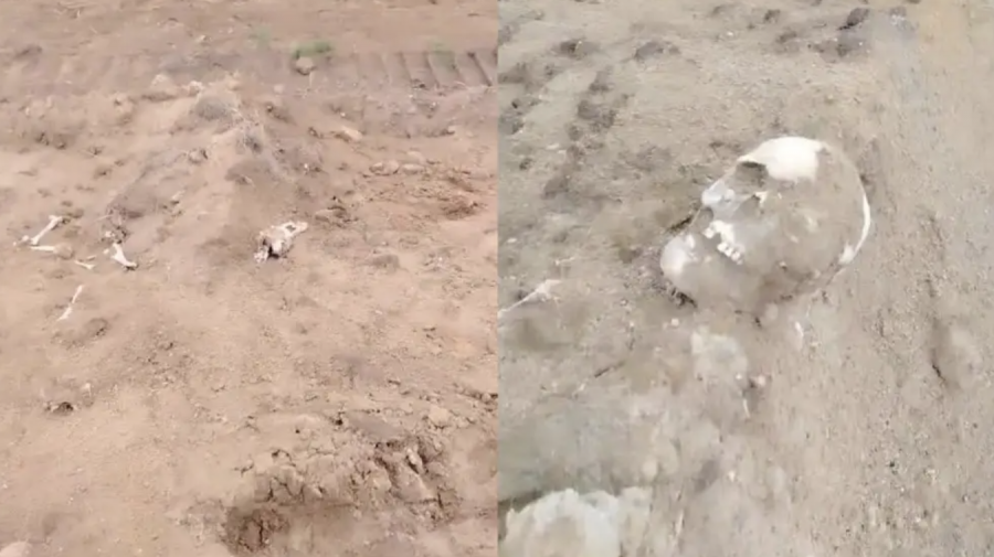 Павлодар облысында жол жөндеушілер адам сүйектерін тапқан