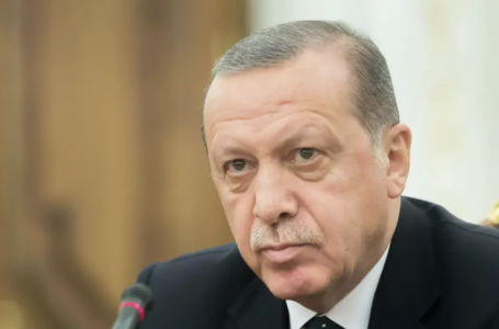 Ердоған Трамп пен Путин саммитіне қатысты пікір білдірді