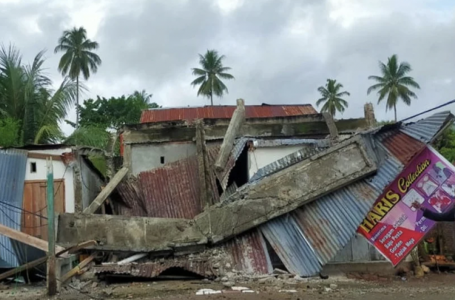 Индонезиядағы жер сілкінісінен 30-ға жуық адам зардап шекті