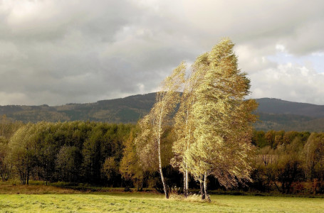 Алда күн суытады