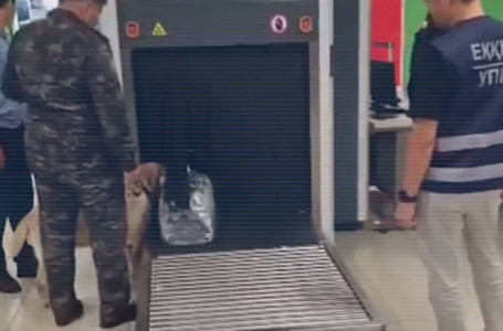 Алматы әуежайында шетелдік ұсталды