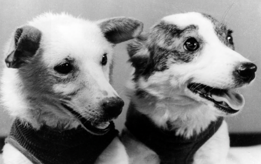 Санкт-Петербургтік қыздың секс үшін телефон нөмірі